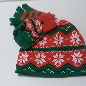 Christmas Mitten and Hat Set